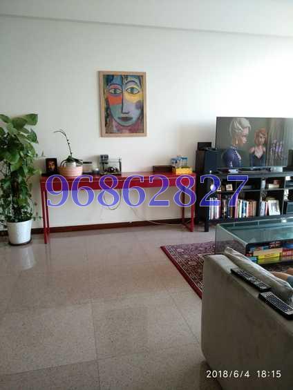 Bishan Loft (D20), Condominium #173866562